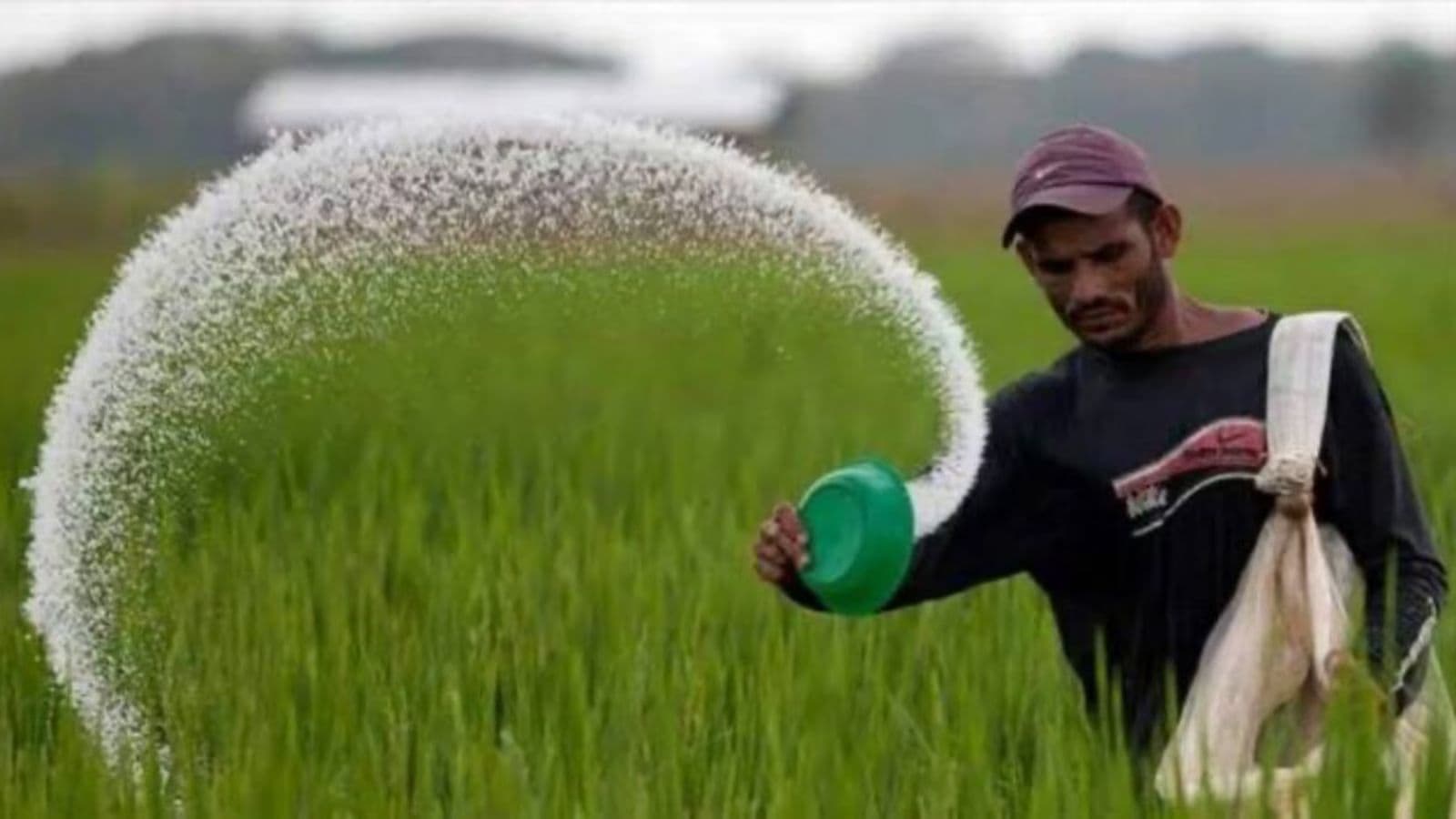 El Niño and Deficient Monsoon Trigger Drop in Domestic Fertiliser Offtake and Input Demand