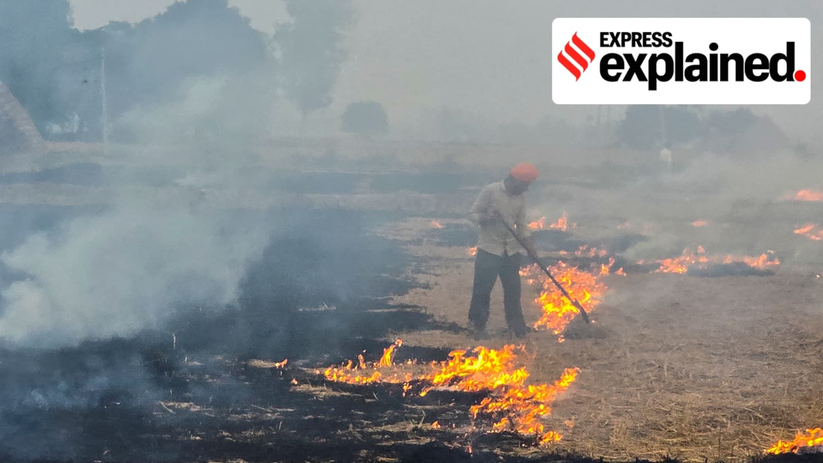Why Punjab's Majha Region Dominates Early Stubble Burning Incidents